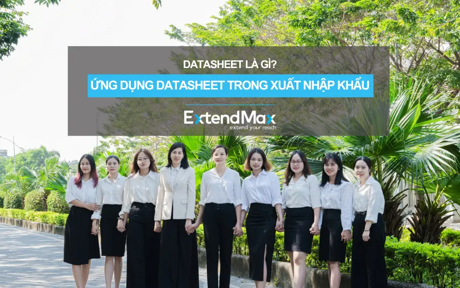 Giải đáp những thắc mắc của bạn về datasheet là gì. Định nghĩa và công dụng của datasheet trong kỹ thuật và đặc biệt là trong lĩnh vực xuất nhập khẩu.