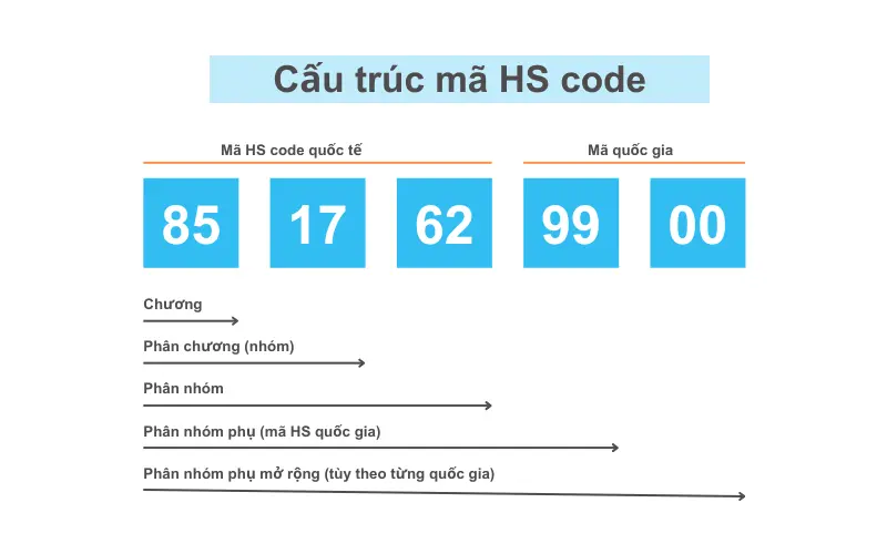 Cấu trúc của mã HS code