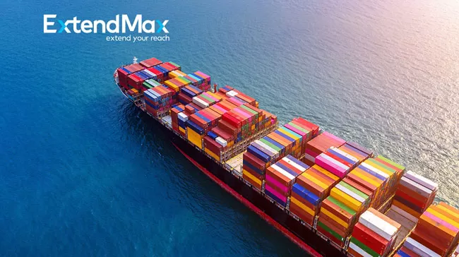 Tạm nhập là hành động đưa hàng hóa vào lãnh thổ Việt Nam trong một khoảng thời gian nhất định và có tính chất tạm thời